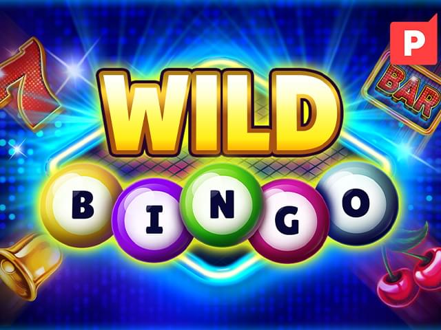 365brl bet Bingo Selvagem